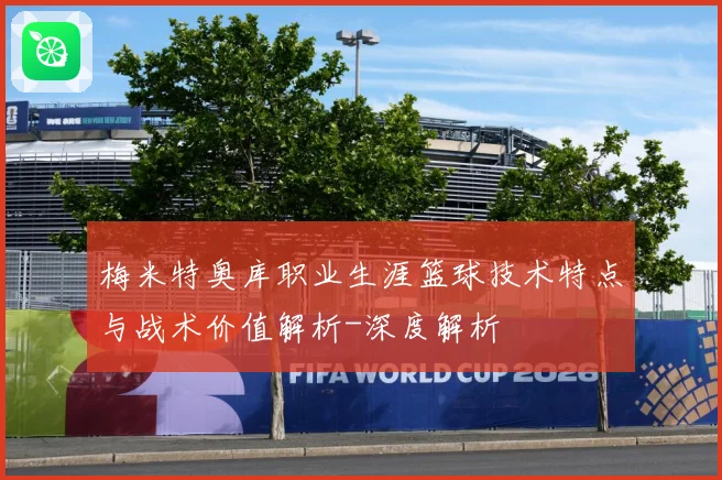 梅米特奥库职业生涯篮球技术特点与战术价值解析-深度解析