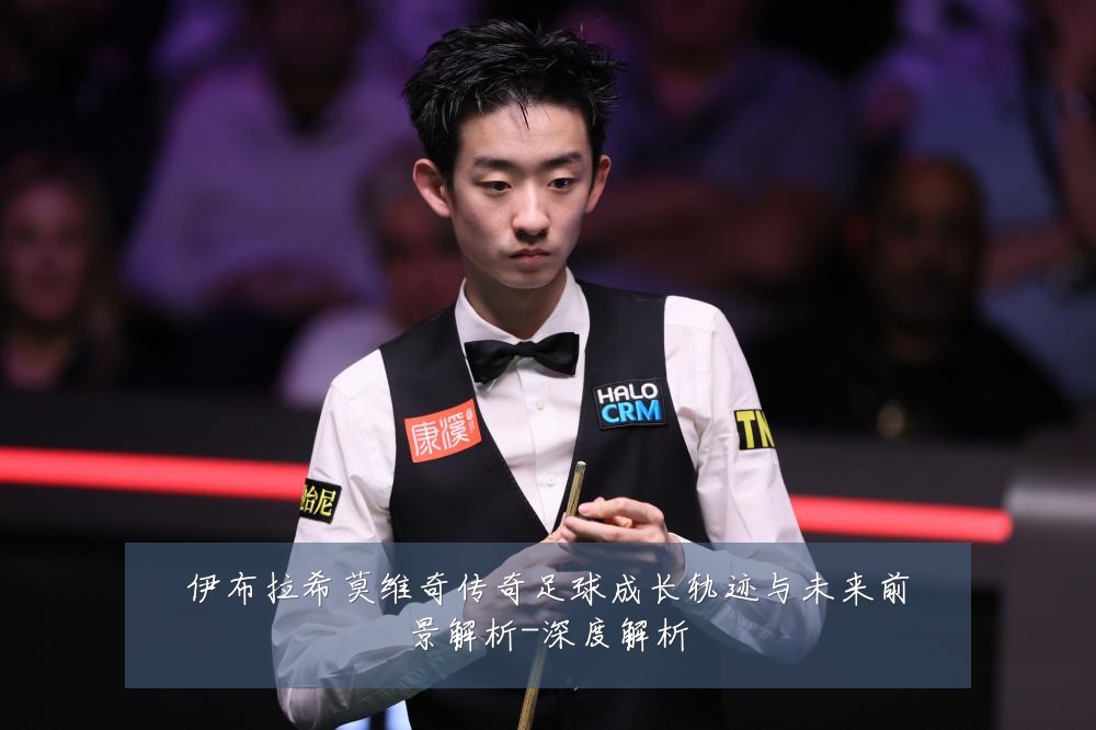 伊布拉希莫维奇传奇足球成长轨迹与未来前景解析-深度解析