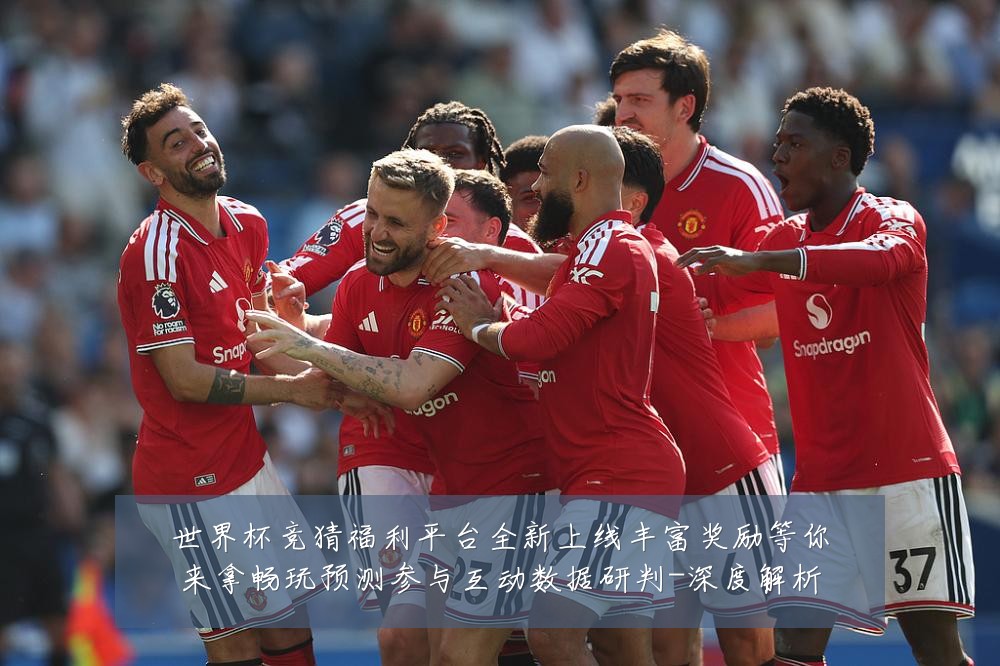 世界杯竞猜福利平台全新上线丰富奖励等你来拿畅玩预测参与互动数据研判-深度解析